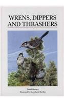 Wrens, Dippers and Thrashers