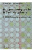 B1 Lymphocytes in B Cell Neoplasia