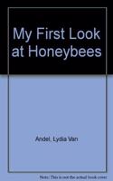 My First Look: Honeybees