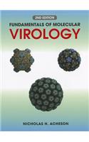 Fundamentals of Molecular Virology