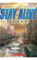 Flood