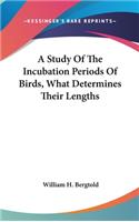 A Study Of The Incubation Periods Of Birds, What Determines Their Lengths