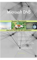 Microsoft DNS Standard Requirements