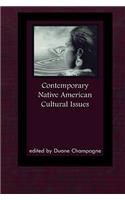 Contemporary Native American Cultural Issues