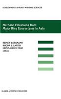 Methane Emissions from Major Rice Ecosystems in Asia