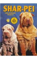 Shar-pei