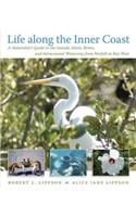 Life Along the Inner Coast