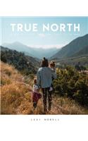 True North
