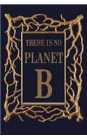 There Is No Planet B