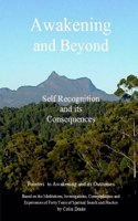 Awakening and Beyond