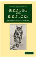 Bird Life and Bird Lore
