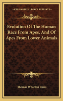 Evolution Of The Human Race From Apes, And Of Apes From Lower Animals