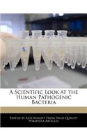 A Scientific Look at the Human Pathogenic Bacteria