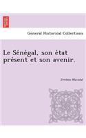 Le Se Ne Gal, Son E Tat Pre Sent Et Son Avenir.