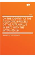 On the Identity of the Ascending Process of the Astragalus in Birds with the Intermedium