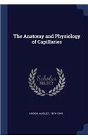 The Anatomy and Physiology of Capillaries