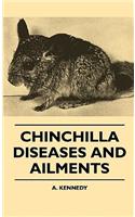 Chinchilla Diseases And Ailments