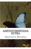 Amitayurdhyana Sutra