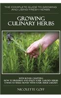 Growing Culinary Herbs