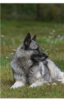 The Norwegian Elkhound Dog Journal: 150 page lined notebook/diary