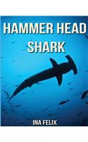 Hammer Head Shark