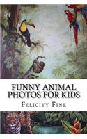 Funny Animal Photos for Kids