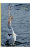 Ethi Pike - Notebook / Extended Lines / Soft Matte Cover / Pelican: An Ethi Pike Collectible Journal