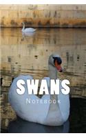 Swans