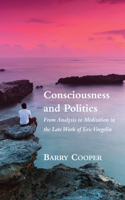 Consciousness and Politics