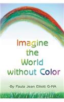 Imagine the World without Color: (English)