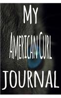 My American Curl Journal