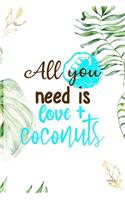 All You Need Is Love + Coconuts