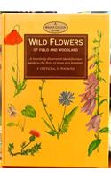Wild Flowers of Field & Woodland