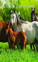 2020 American Quarter Horse Calendar