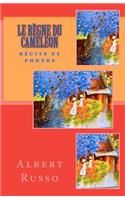 Le règne du caméléon