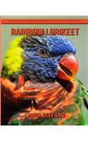Rainbow lorikeet