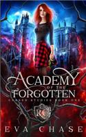 Academy of the Forgotten