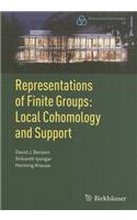 Representations of Finite Groups: Local Cohomology and Support