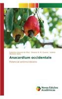 Anacardium occidentale