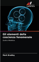 Gli elementi della coscienza fenomenale