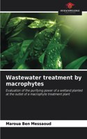 Wastewater treatment by macrophytes
