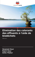 Élimination des colorants des effluents à l'aide de biodéchets