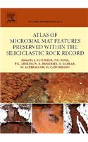 Atlas of Microbial Mat Features Preserved Within the Siliciclastic Rock Record