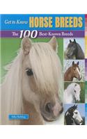 Get to Know Horse Breeds