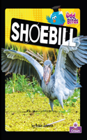 Shoebill: (Odd Birds)