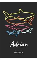 Adrian - Notebook