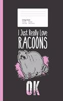 I Just Really Love Racoons OK