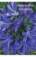 Agapanthus Notebook