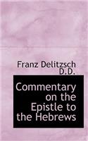 Commentary on the Epistle to the Hebrews, Volume 2