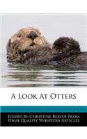 A Look at Otters